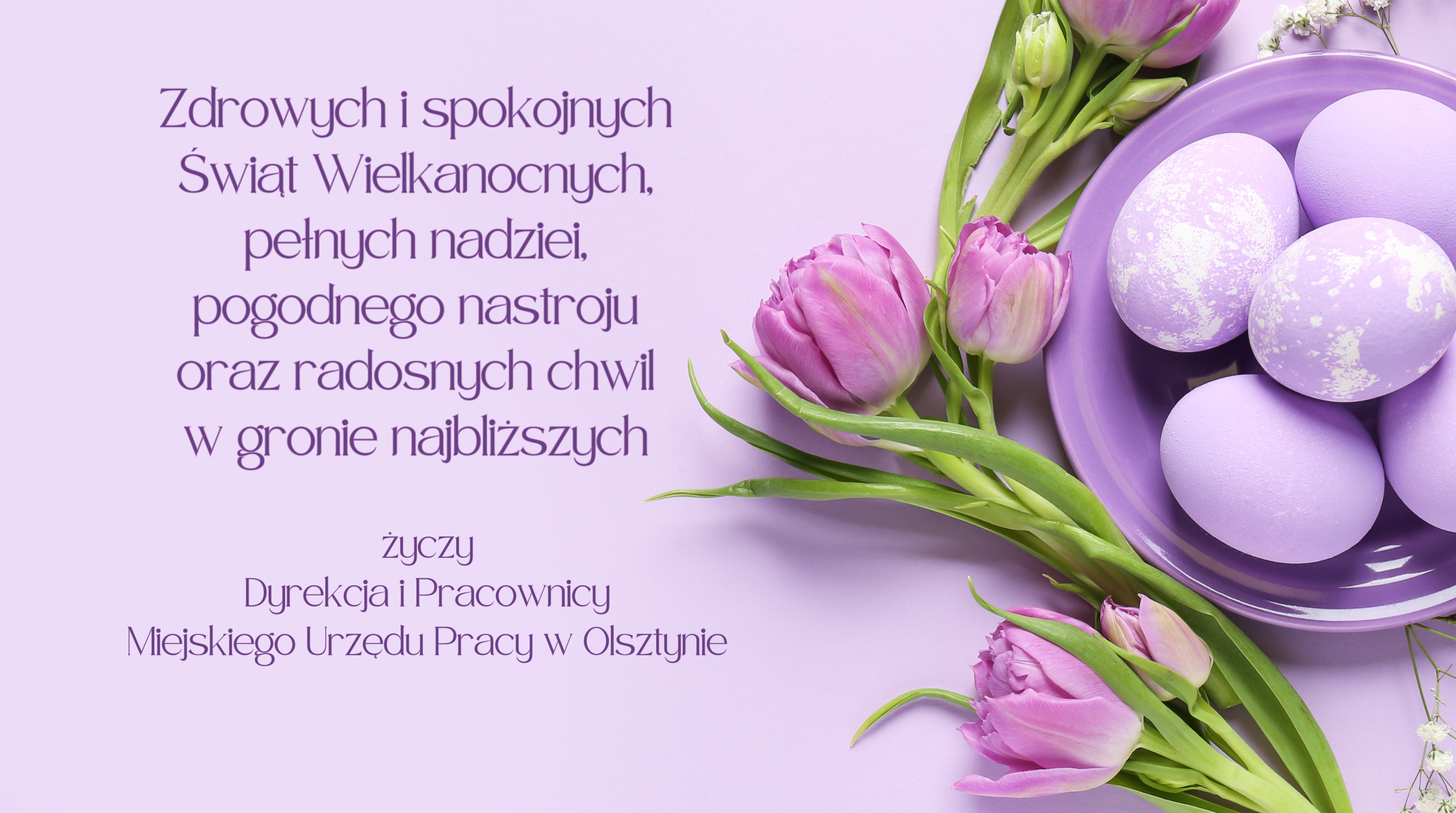 Kartka w odcieniach fioletu, obok życzeń są tulipany i jajka na talerzyku. Zdrowych i spokojnych Świąt Wielkanocnych, pełnych nadziei, pogodnego nastroju oraz radosnych chwil w gronie najbliższych życzy Dyrekcja i Pracownicy Miejskiego Urzędu Pracy w Olsztynie
